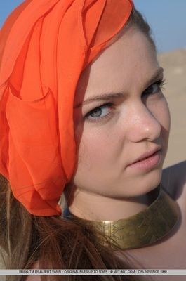 Проститутки г. Вишневое