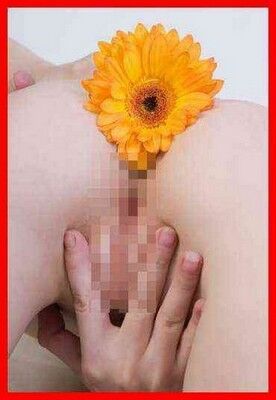 Телочки Заславль